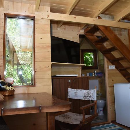 Holiday Home Kucica Na Drvetu Banja Koviljaca Bagian luar foto