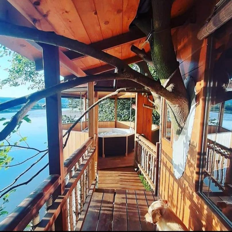 Holiday Home Kucica Na Drvetu Banja Koviljaca Bagian luar foto