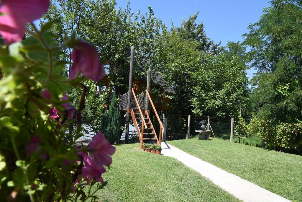 Holiday Home Kucica Na Drvetu Banja Koviljaca Bagian luar foto